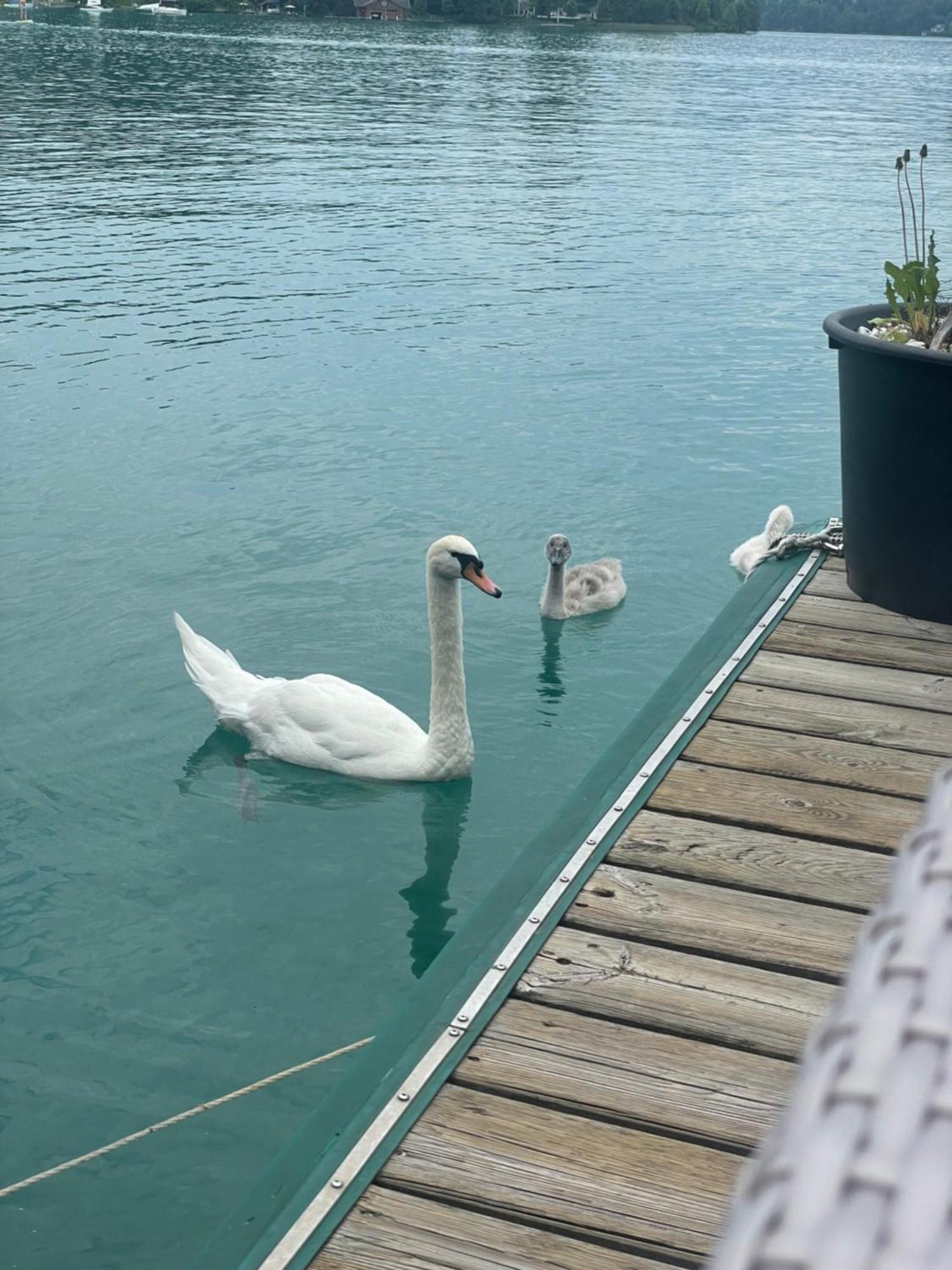 Strandhaus Am Woerthersee Velden am Wörthersee Esterno foto